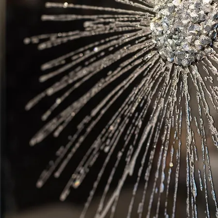 Holly With Free Off Site Health Club Πανσιόν Windermere