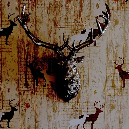 Holly With Free Off Site Health Club Πανσιόν 4*