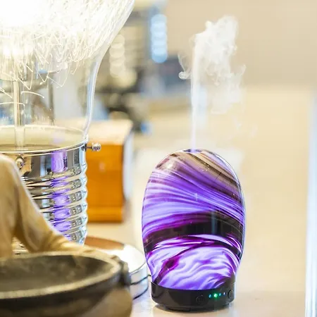 Holly With Free Off Site Health Club Πανσιόν